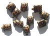 10 19mm Satin Topaz Tortoise and Gold Turtle Beads